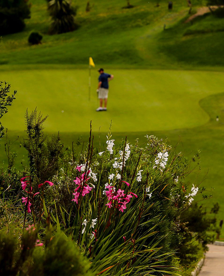 This image for Image Layouts addon